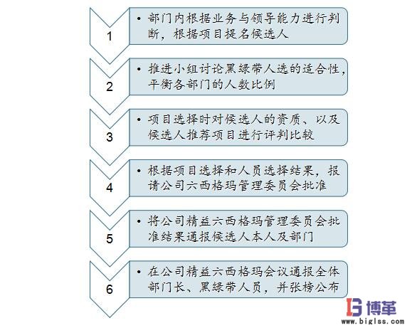 六西格瑪黑帶、綠帶人員的選擇
