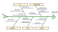 詳細講解！魚骨圖的繪制步驟與使用方法